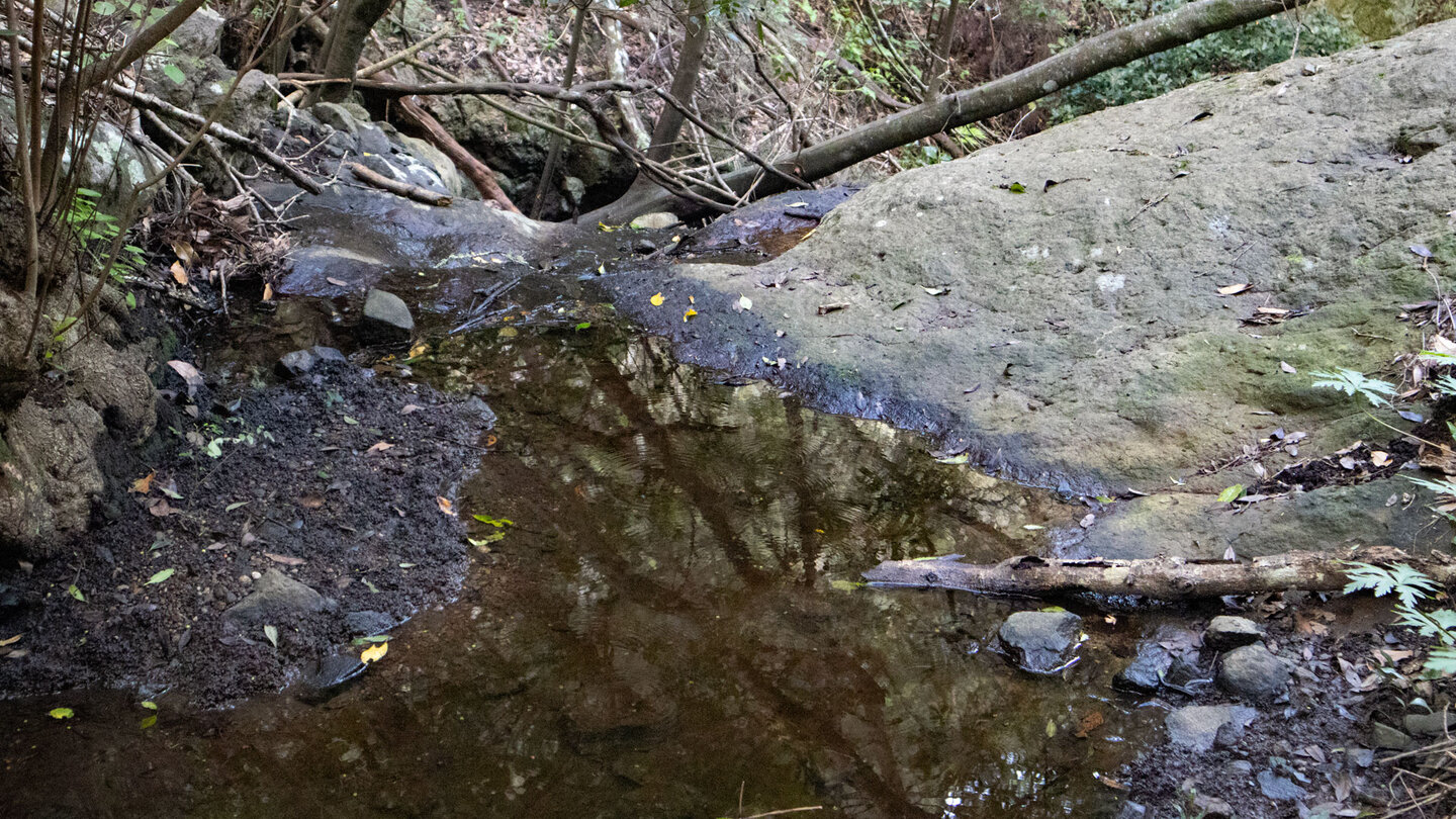 Bachquerung in der kleinen Schlucht Barranco de Cabezo Tejo