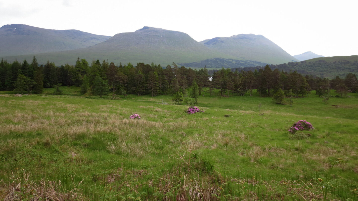 West Highland Way von Bridge of Orchy bis Kingshouse West Highland Way von Bridge of Orchy bis Kingshouse