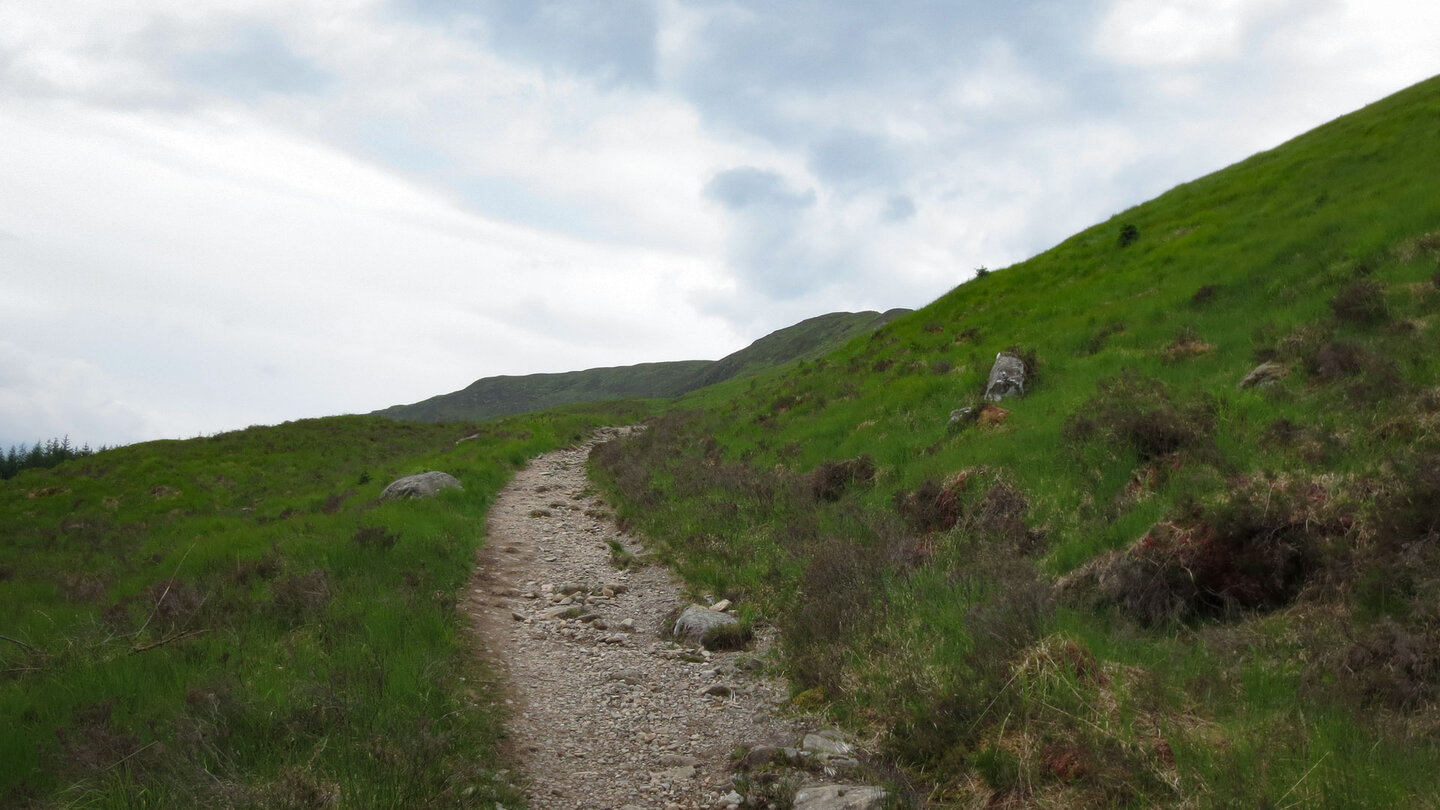 Wiesenlandschaft am West Highland Way Wiesenlandschaft am West Highland Way
