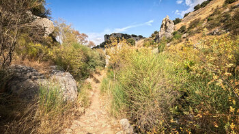 Karstfelsen säumen den Wanderweg durch die Bailón-Schlucht