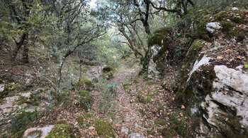 bemooste Felsen am Río Bailón