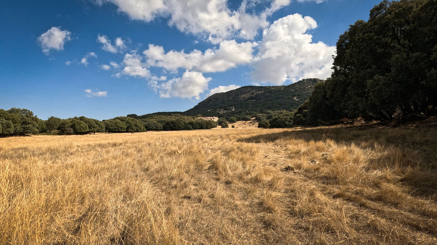 Wiesenlandschaften im Hochland der Sierras Subbéticas