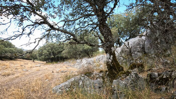 in der Nava de la Fuenseca