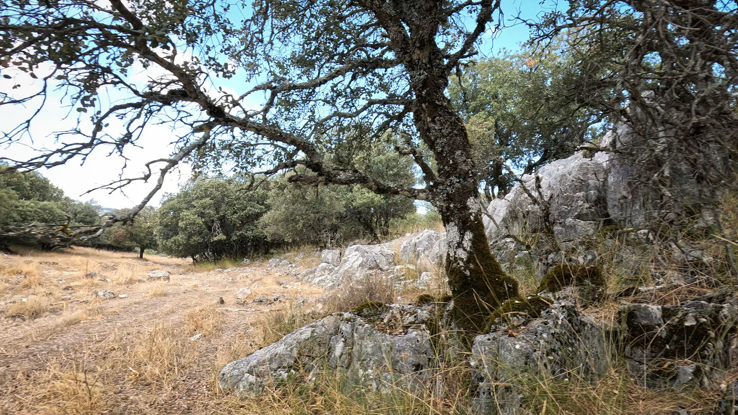 in der Nava de la Fuenseca