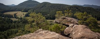 Von der Felskanzel des Sprinzelfelsens bietet sich ein weiter Panoramablick über den Wasgau.