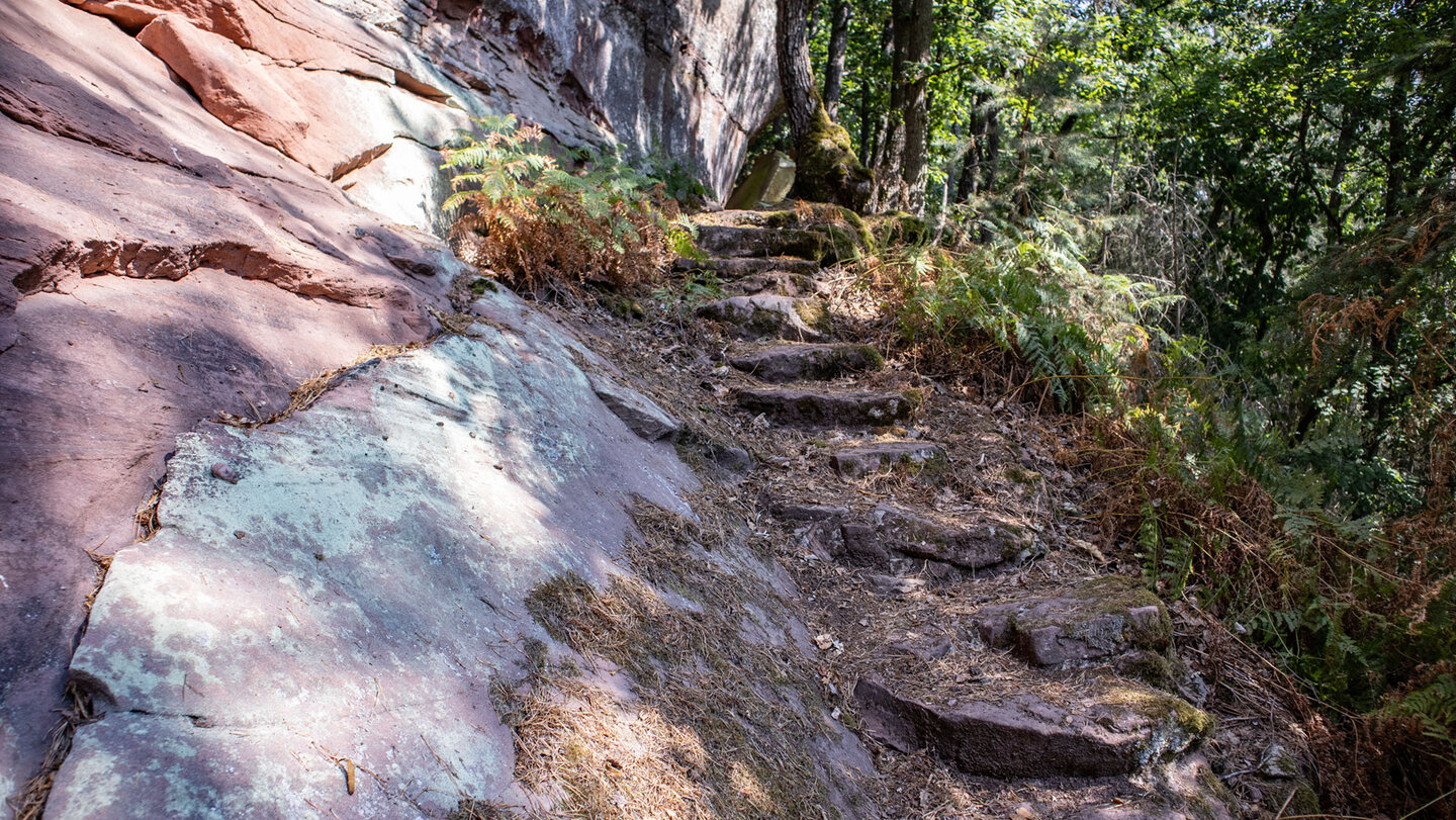 Über schmale Stufen windet sich der Weg am Sprinzelfels empor.