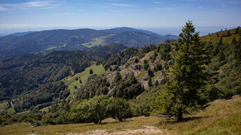 Panoramablick ins kleine Wiesental mit den Felsformationen des Belchen