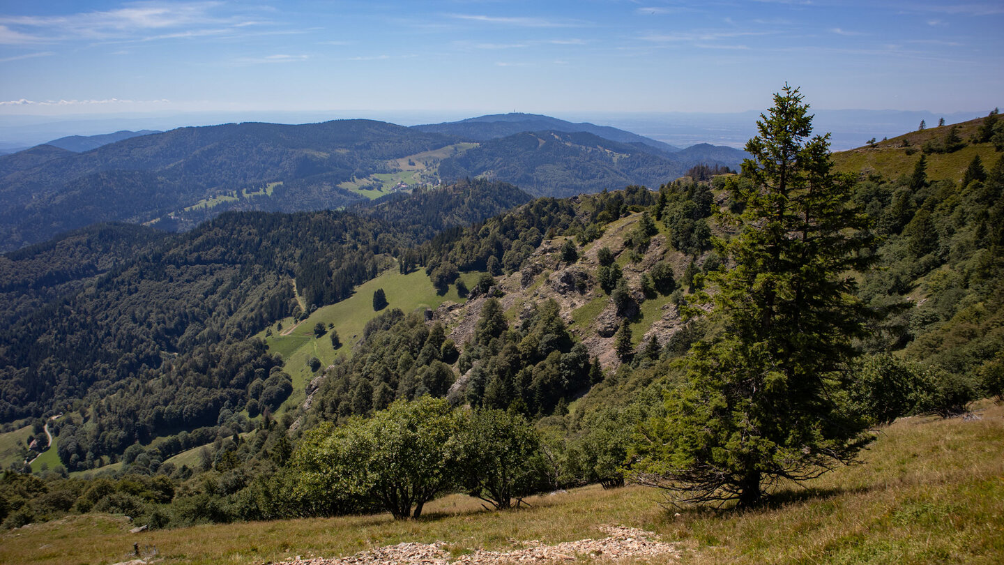 Panoramablick ins kleine Wiesental mit den Felsformationen des Belchen