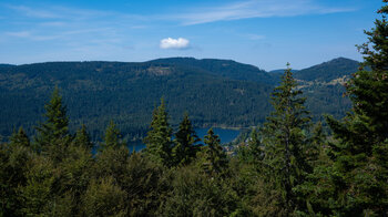 Blick über die Tannenwälder zum Schluchsee