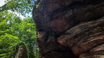 Felsvorsprünge in der Buntsandsteinformation »Kuhfelsen« bei Rodalben