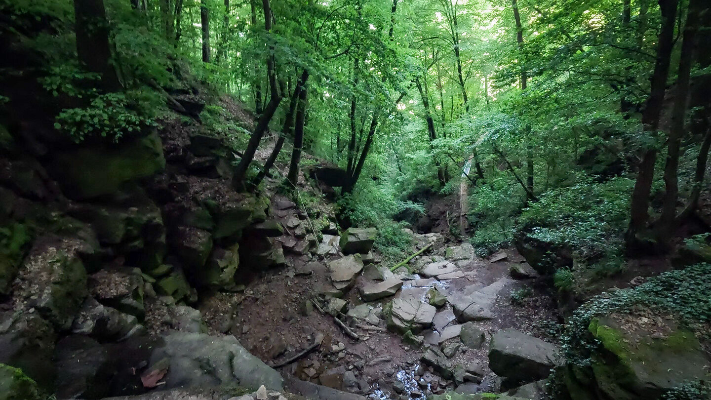 Margaretenschlucht-Pfad im Naturpark Neckartal-Odenwald Margaretenschlucht-Pfad im Naturpark Neckartal-Odenwald