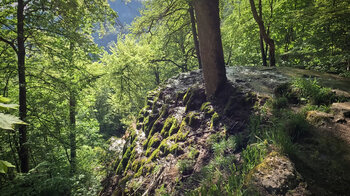 Sinterkalkterrasse am Gütersteiner Wasserfall