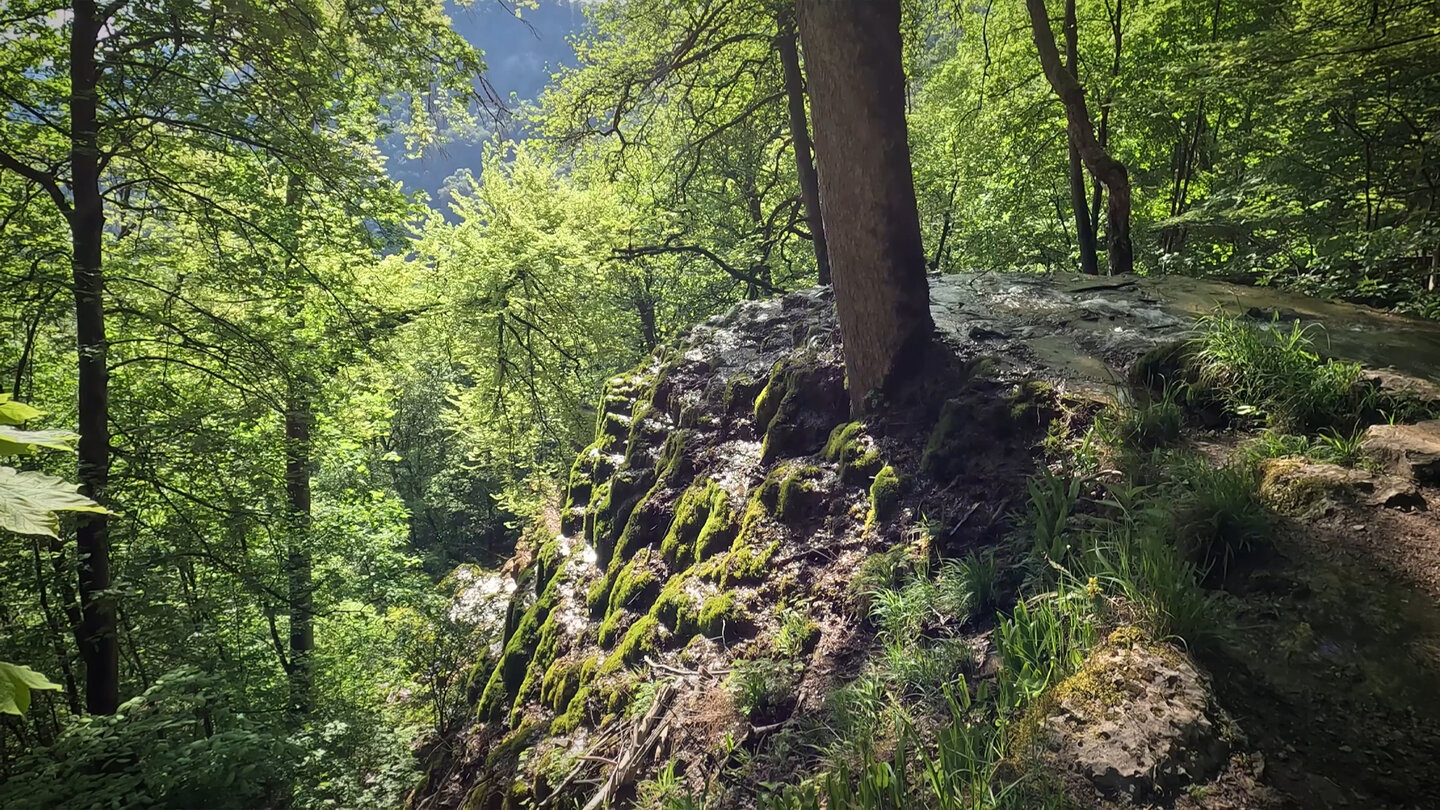 Sinterkalkterrasse am Gütersteiner Wasserfall