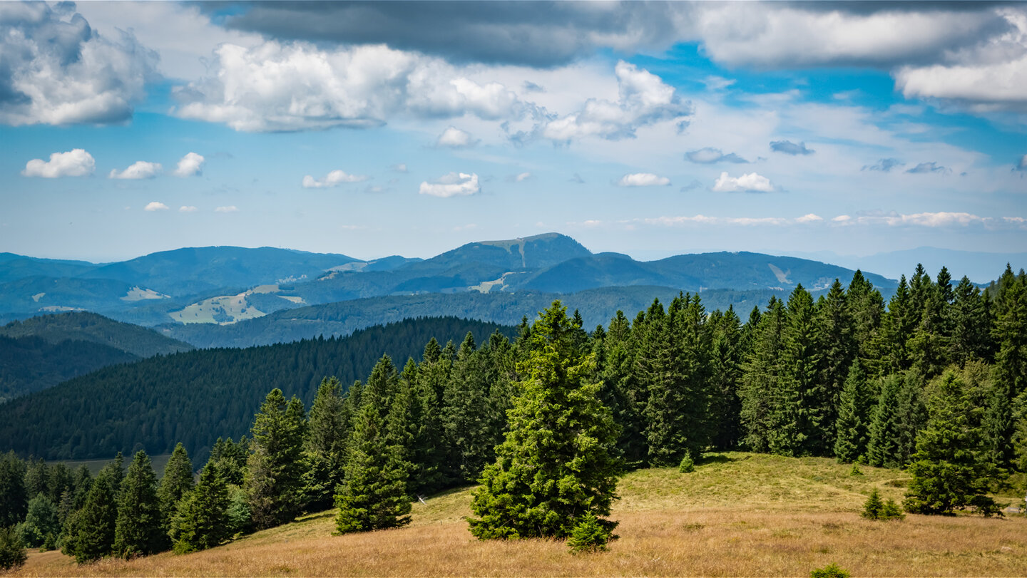 Belchen-Silhouette ragt aus dem Schwarzwald