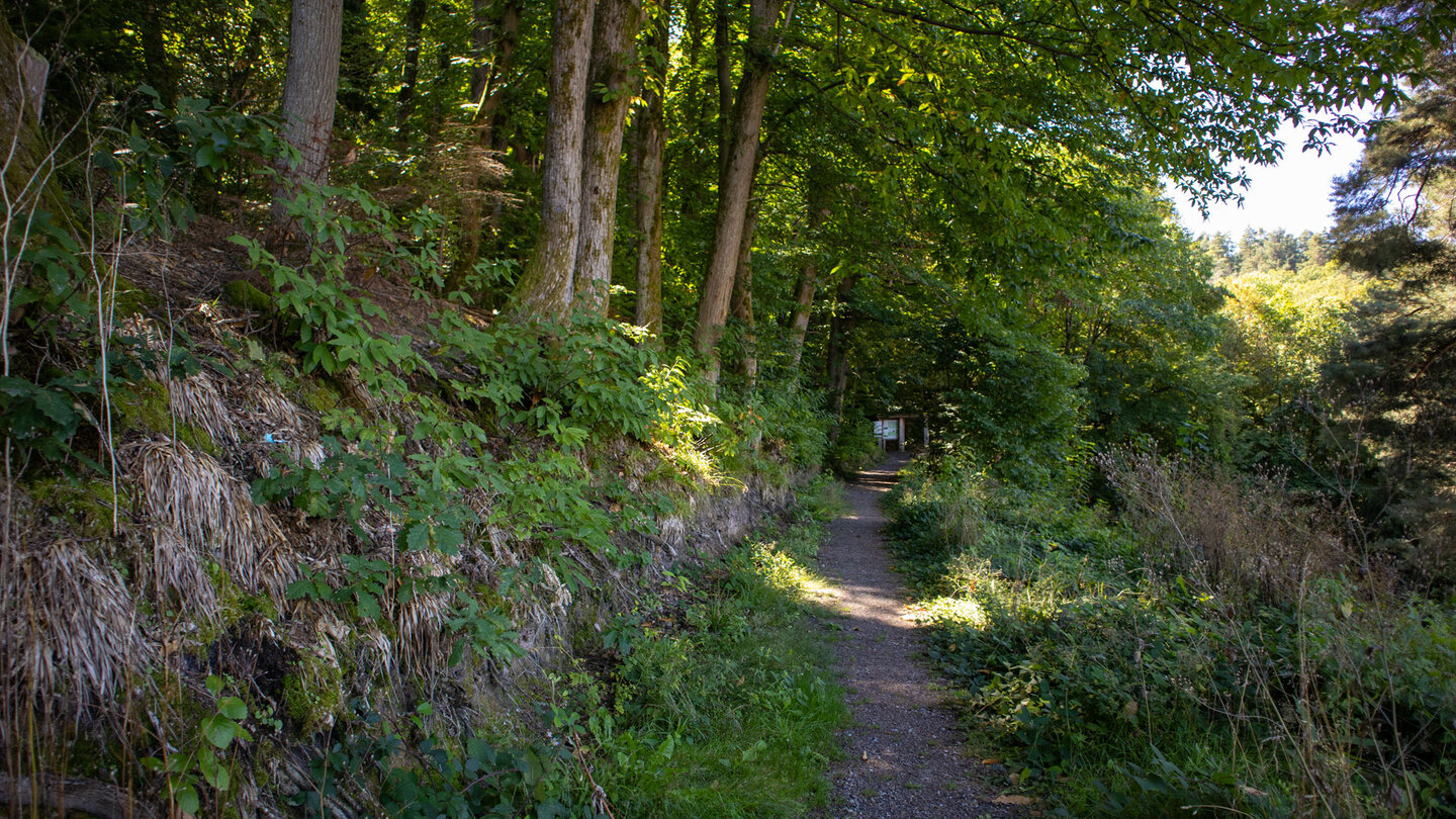 der Murgleiter-Wanderweg oberhalb Gernsbach