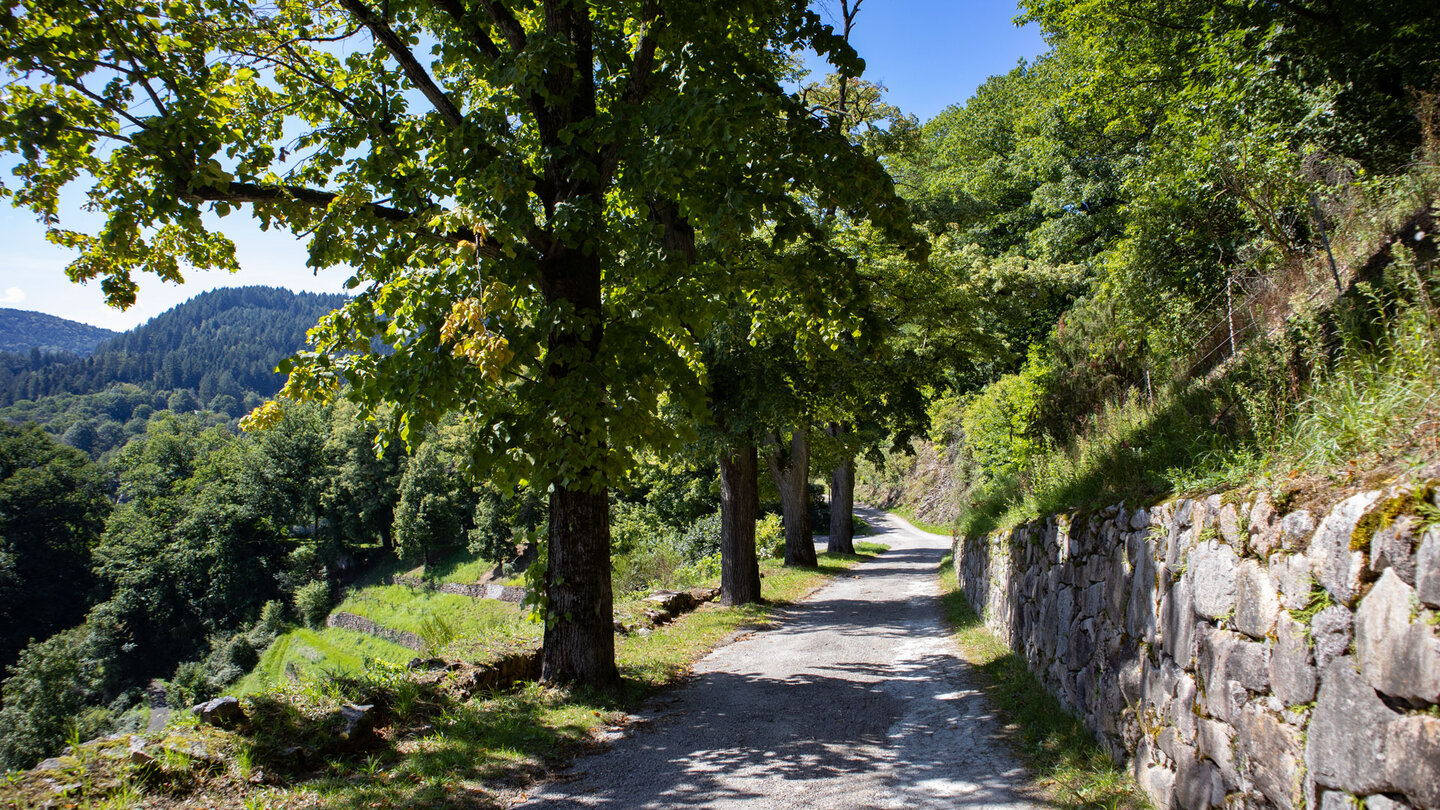 Ausblick von Schloss Eberstein auf den Ort Obersrot im Murgtal