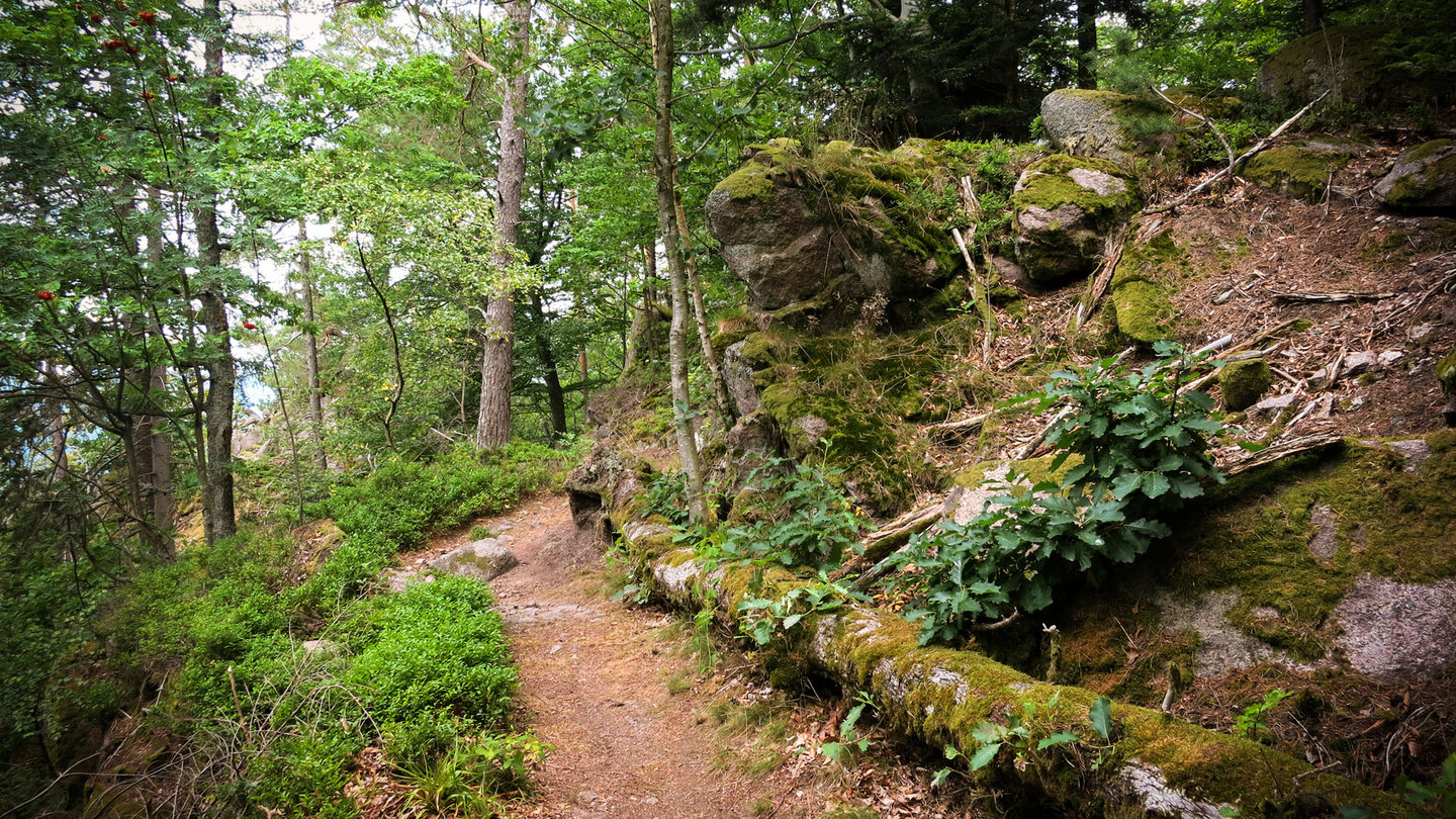 Murgleiter-Wanderweg durch die Rockertfelsen