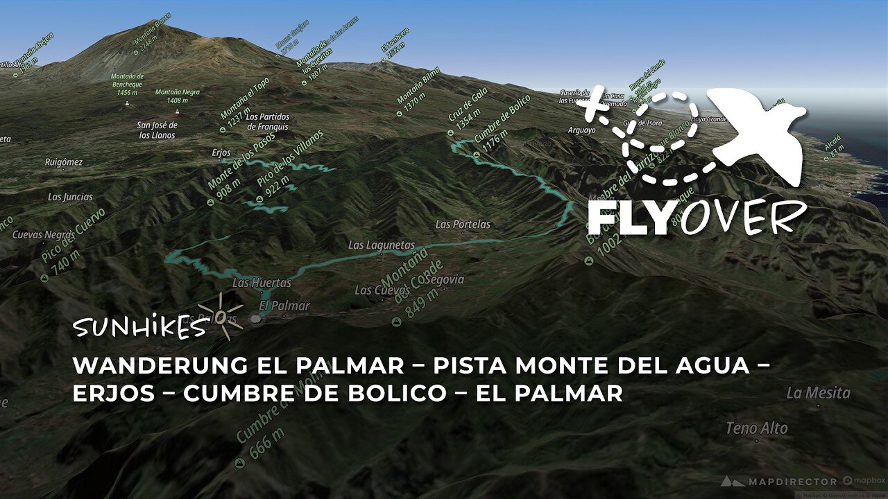 Teneriffa XXL: Monte del Agua & Cumbre de Bolico im 3D-Flyover! (22km Teno-Runde)