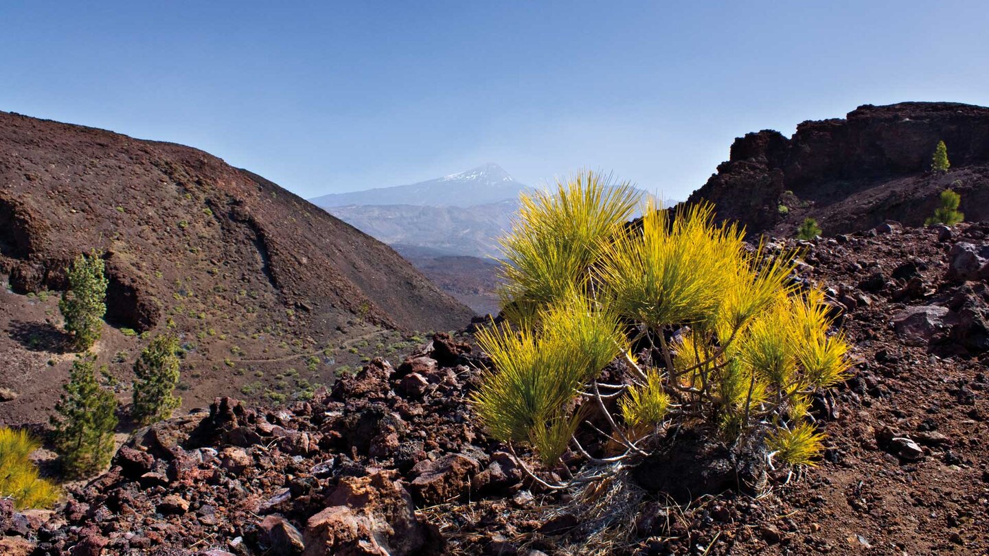 Blick über den Gipfel des Montaña Sámara auf Teneriffa