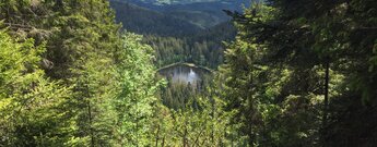 der Schurmsee von der 950 m hohen Schurmseehöhe