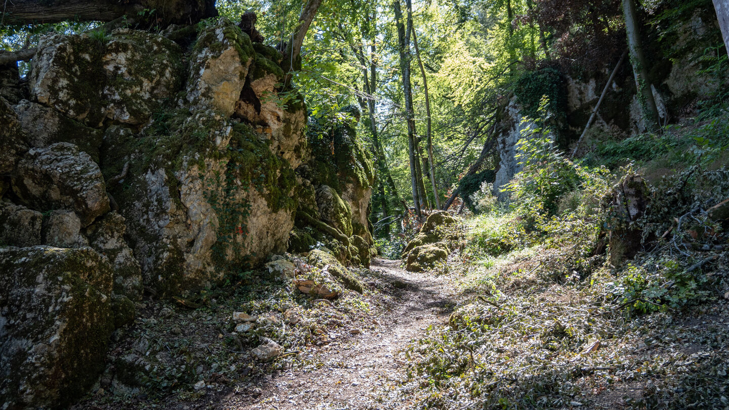 Wanderweg durch Felsformationen in der Wolfsschlucht