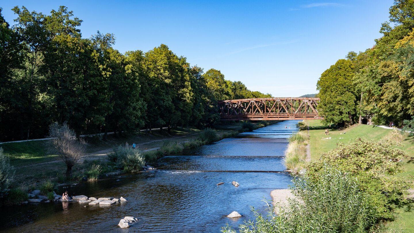 der Flusslauf der Wiese am Tierpark Lange Erlen bei Basel