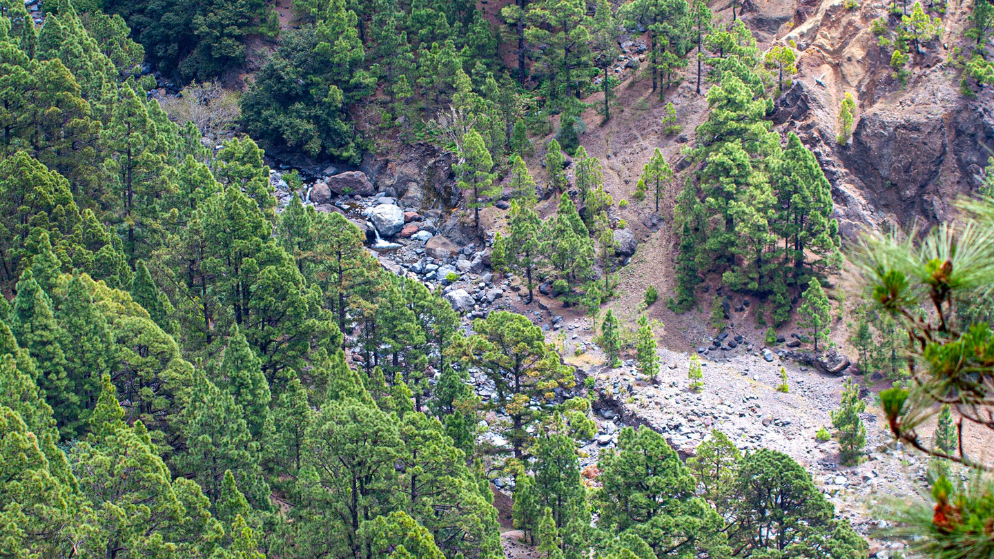 Blick in den Barranco de Hoyo Verde auf La Palma