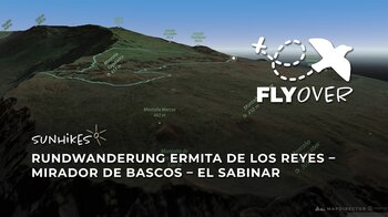 Magische Windbäume und Tiefblicke auf El Hierro: Die La-Dehesa-Runde im 3D-Flyover