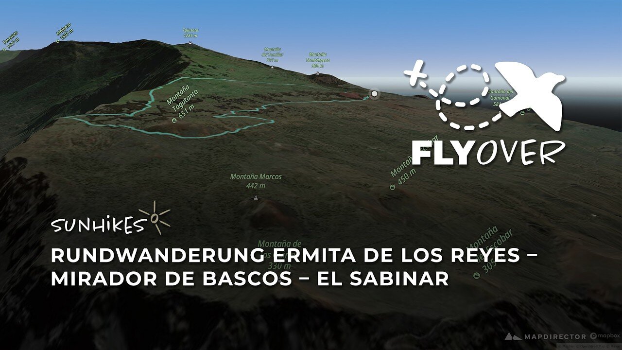 Magische Windbäume und Tiefblicke auf El Hierro: Die La-Dehesa-Runde im 3D-Flyover