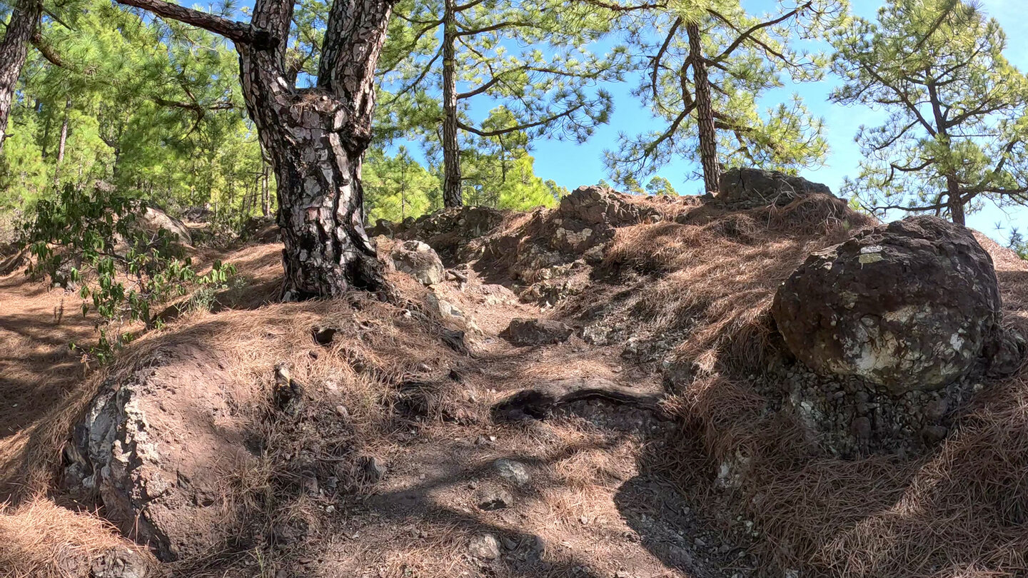 Wanderweg auf dem Bergrücken