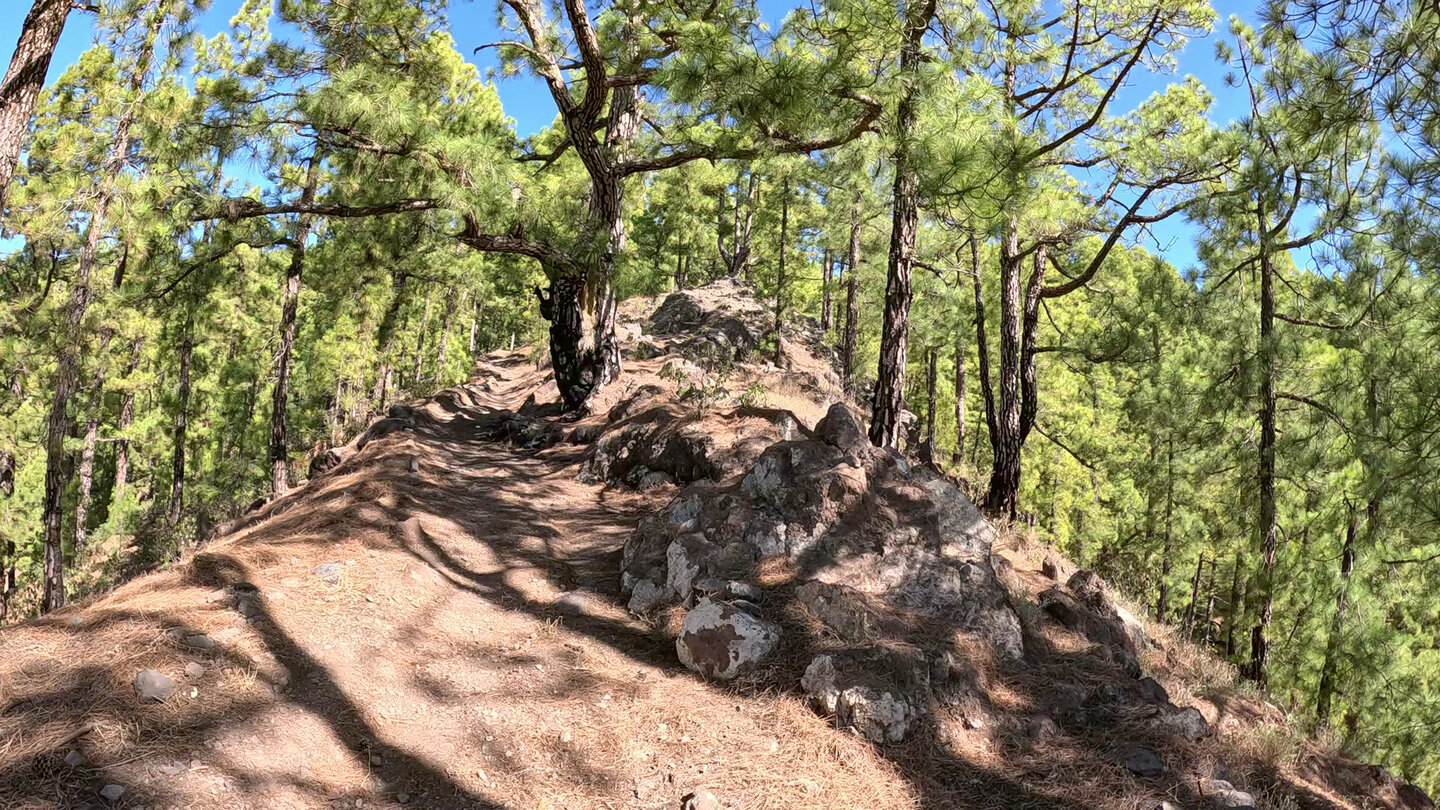 Wanderweg vom Roque de los Muchachos nach Tijarafe