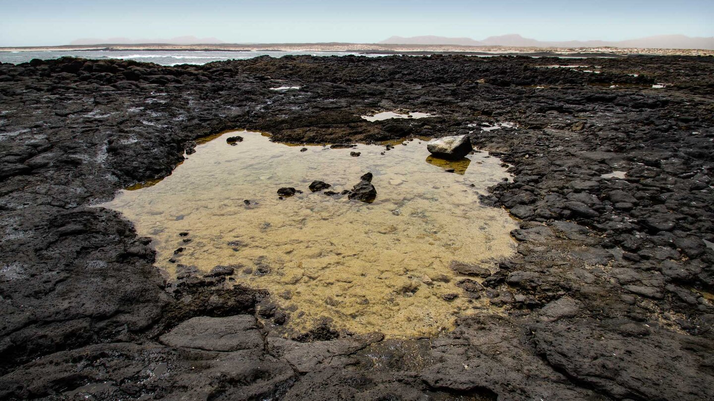 Küstenlandschaft an der Punta de Tostón