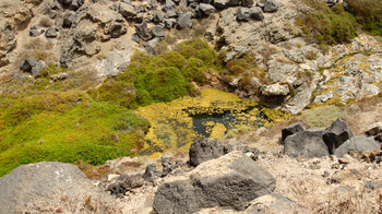 Bachlauf im Barranco de Tebeto