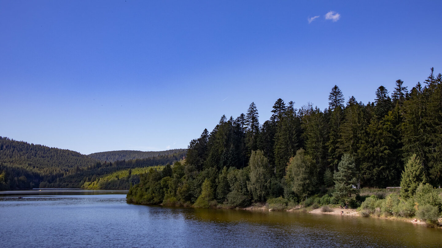 Blick über die Schwarzenbach-Talsperre