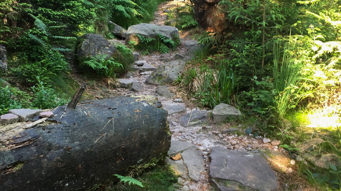 Wanderung zur Badener Höhe