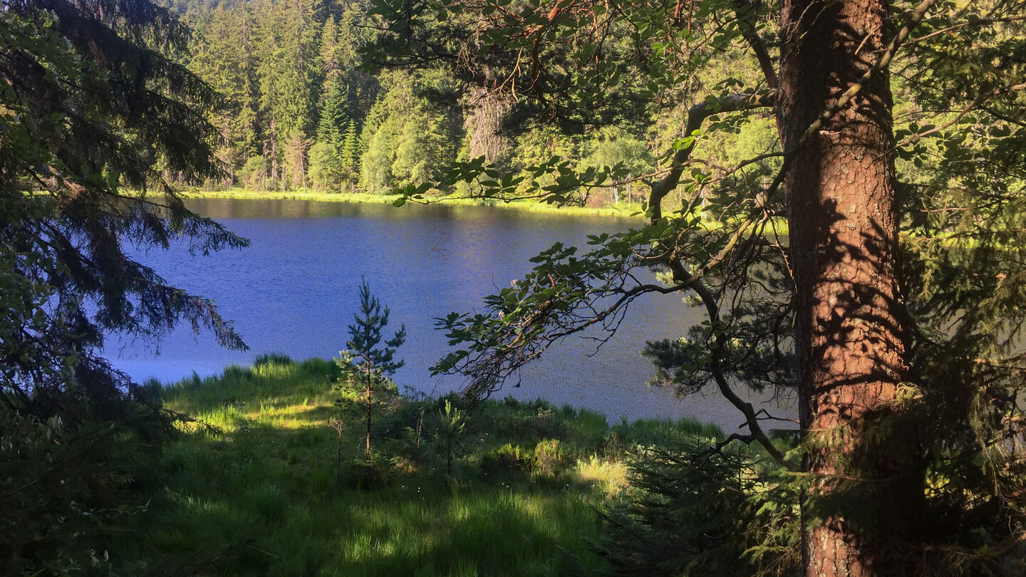 ein kurzer Abstecher zum Herrenwieser See ist lohnenswert