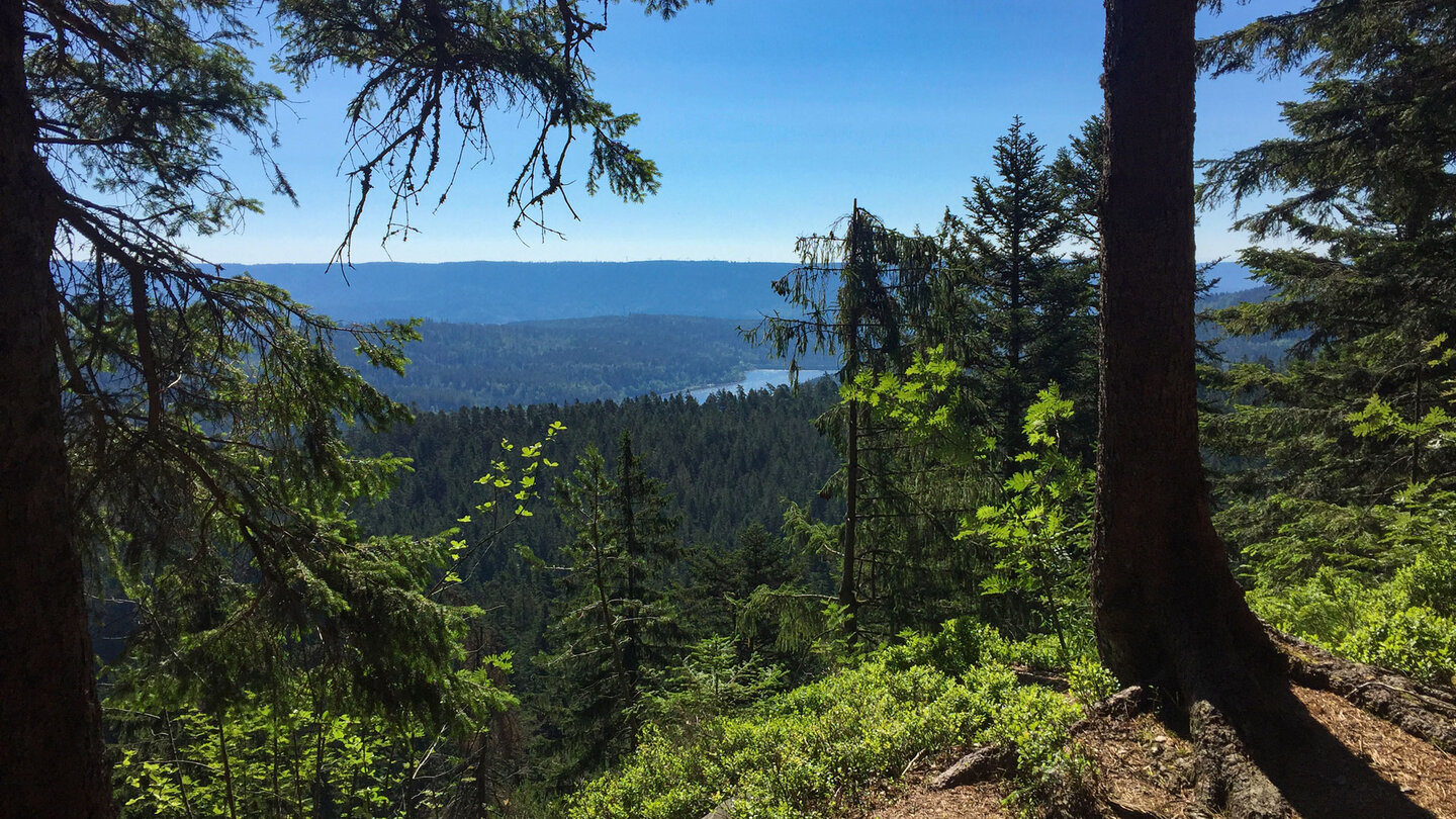 Ausblick vom Zweiseenblick auf die Schwarzenbach-Talsperre