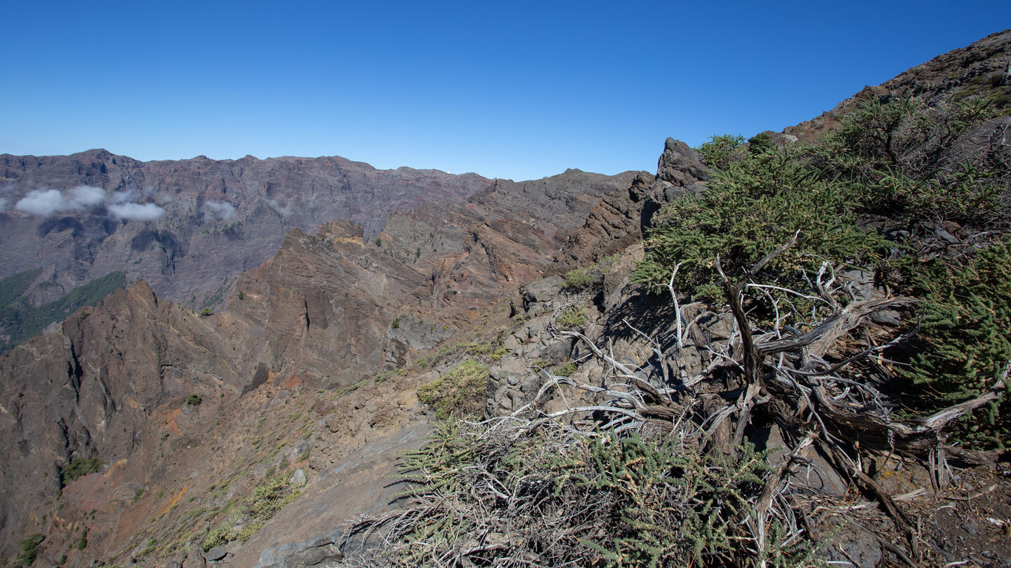 Ausblick auf die Gipfelkette des Nationalparks