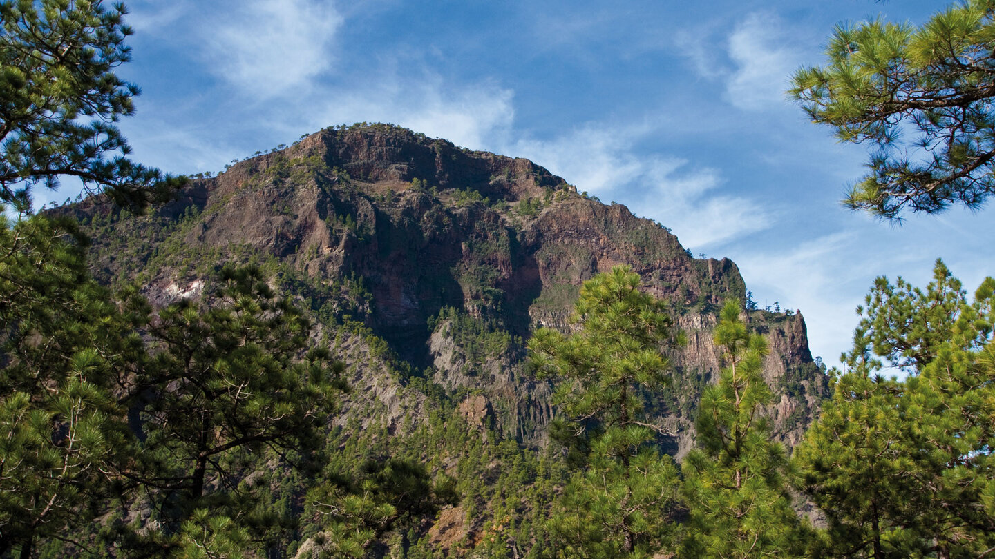 die steile Nordflanke des Pico Bejenado auf La Palma die steile Nordflanke des Pico Bejenado