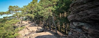 Aussichtspunkt am Rötzenfelsen bei Dimbach