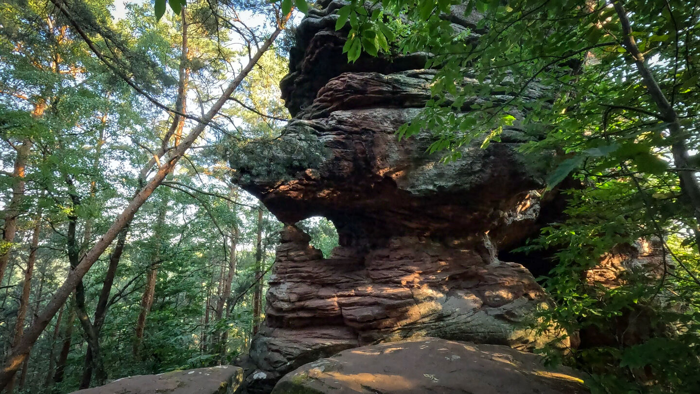 der Falkenstein am Dimbacher Buntsandstein Höhenweg