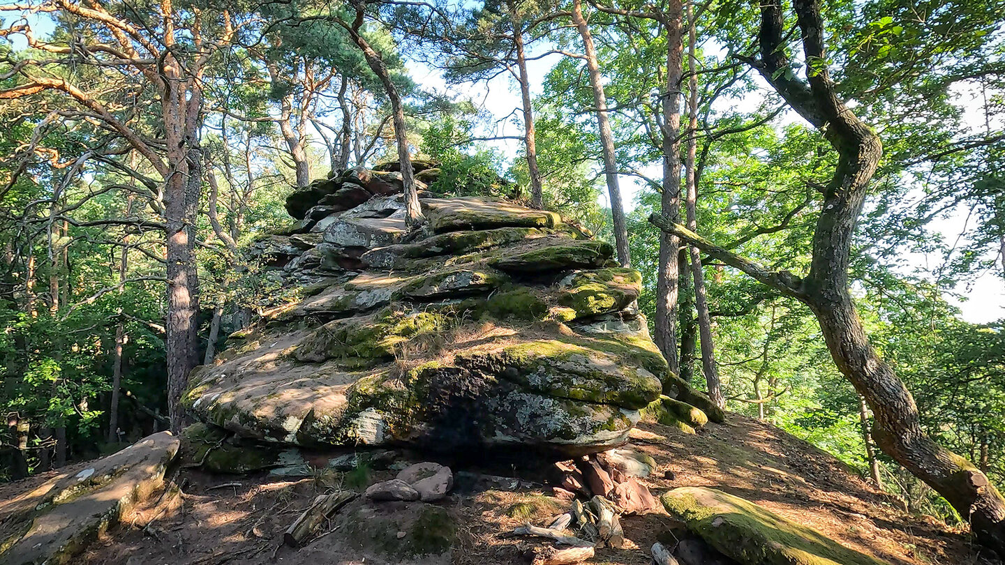 mit Kiefern und Eichen bewachsene Dimbergfelsen