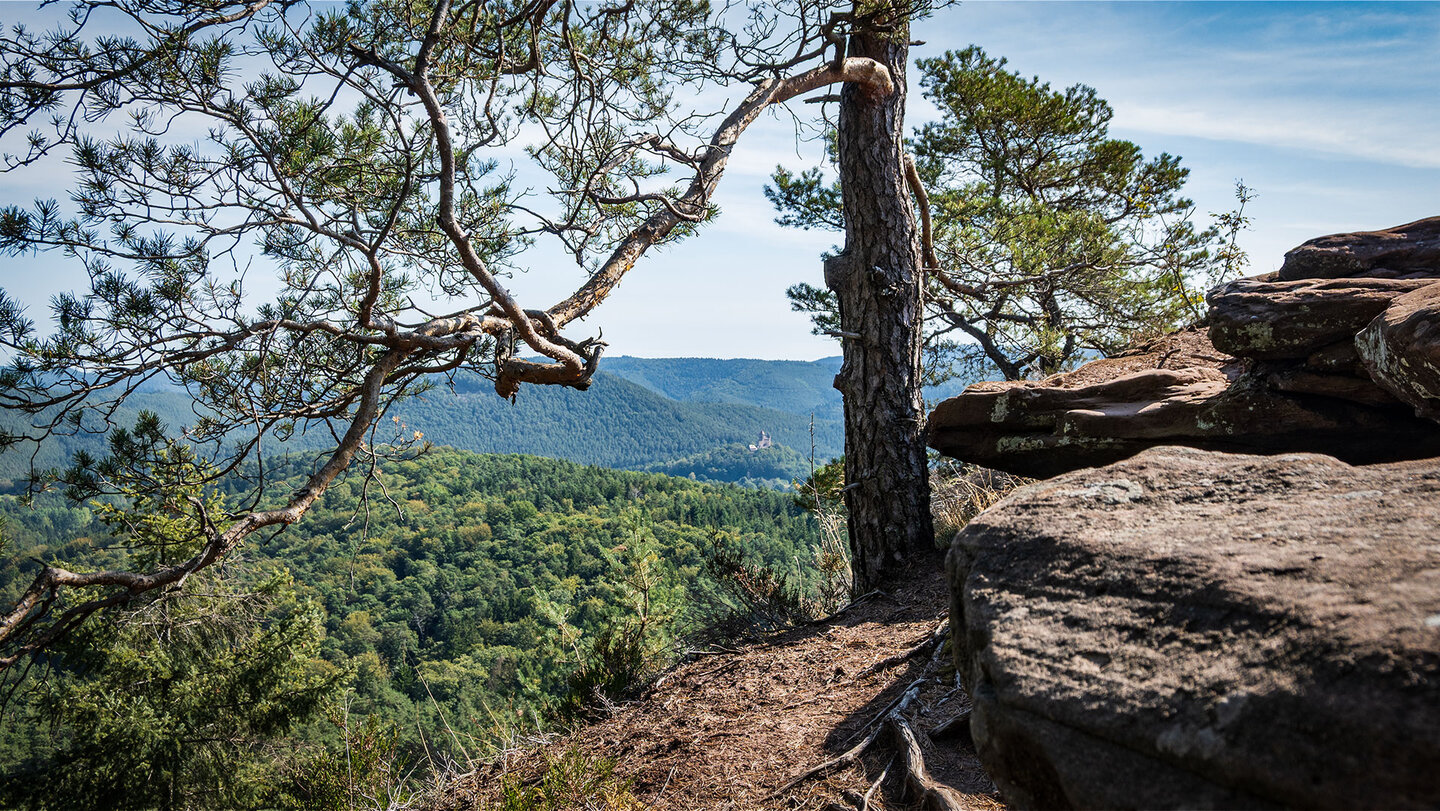Blick vom Schlüsselfels zur Burg Berwartstein.