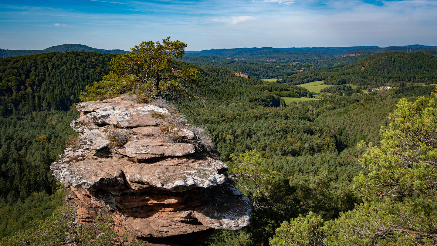 Ausblick auf den Buchkammerfels im Dahner Felsenland.
