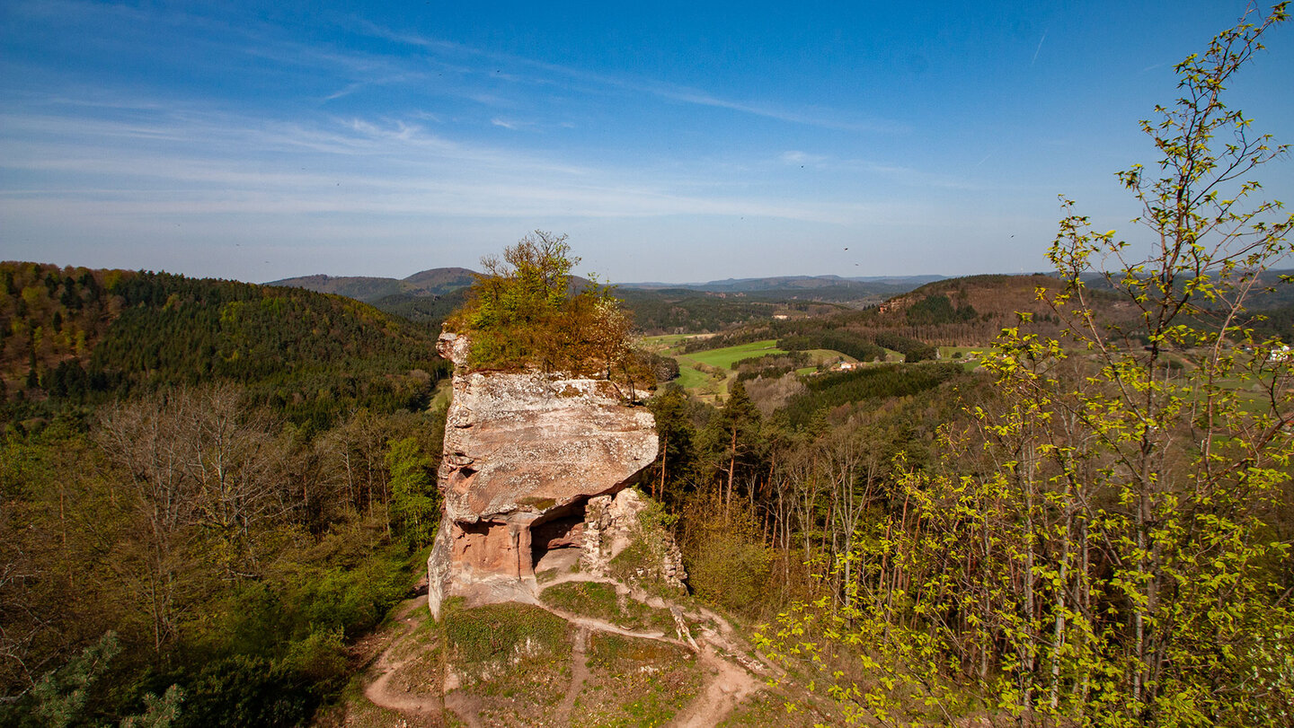 Ruine der Felsenburg Drachenfels im Dahner Felsenland.