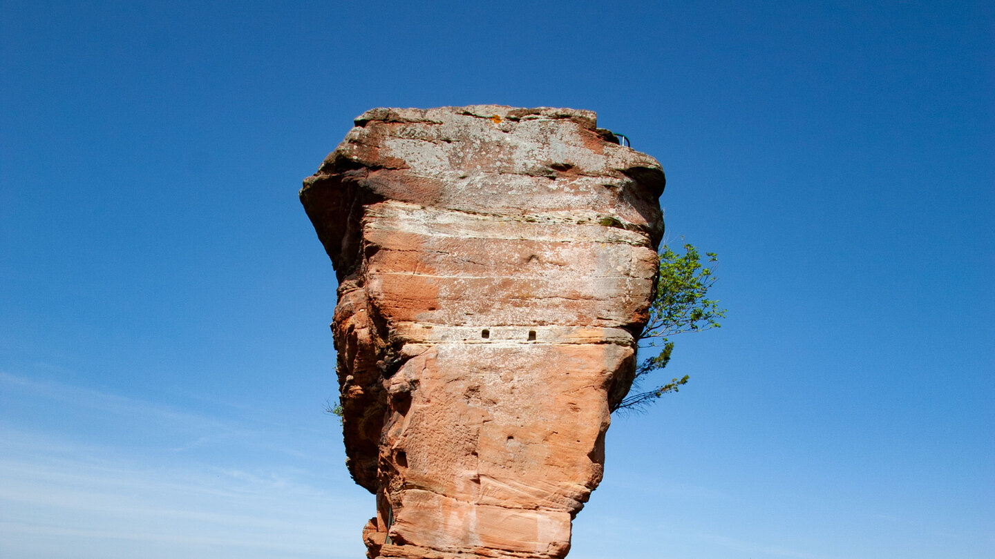 Wie ein steinerner Backenzahn ragt der höchste Teil der Burgruine Drachenfels empor.