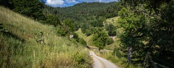 Wanderung Gausbach unterhalb des Tennetberg