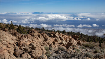 Felsformationen mit Ausblick auf den beginnenden Kiefernwald und Gran Canaria am Horizont