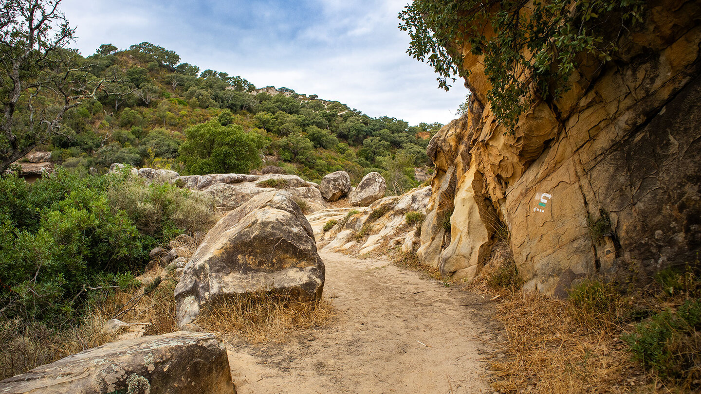 Wanderweg im Naturpark Los Alcornocales