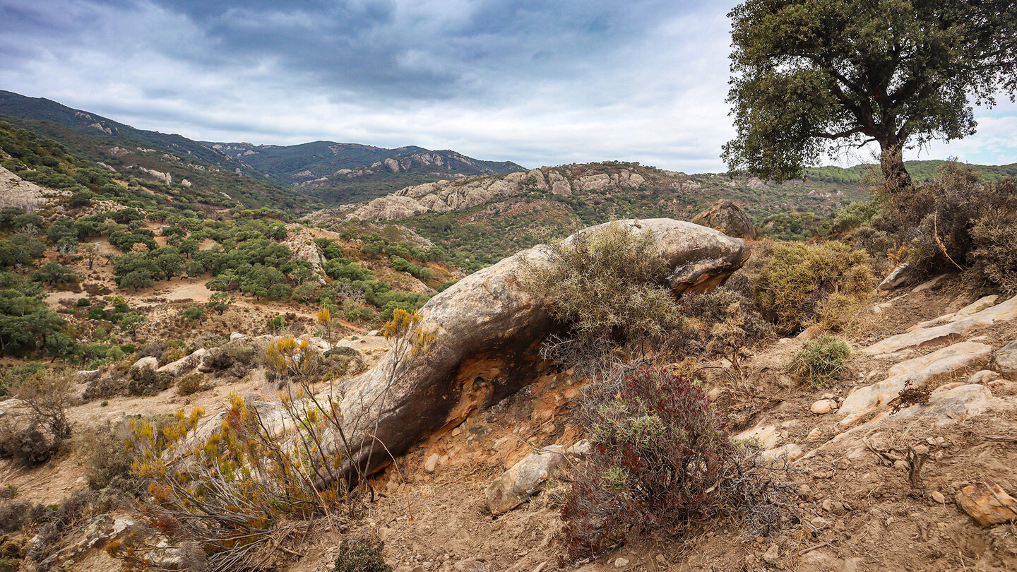 Naturpark Los Alcornocales